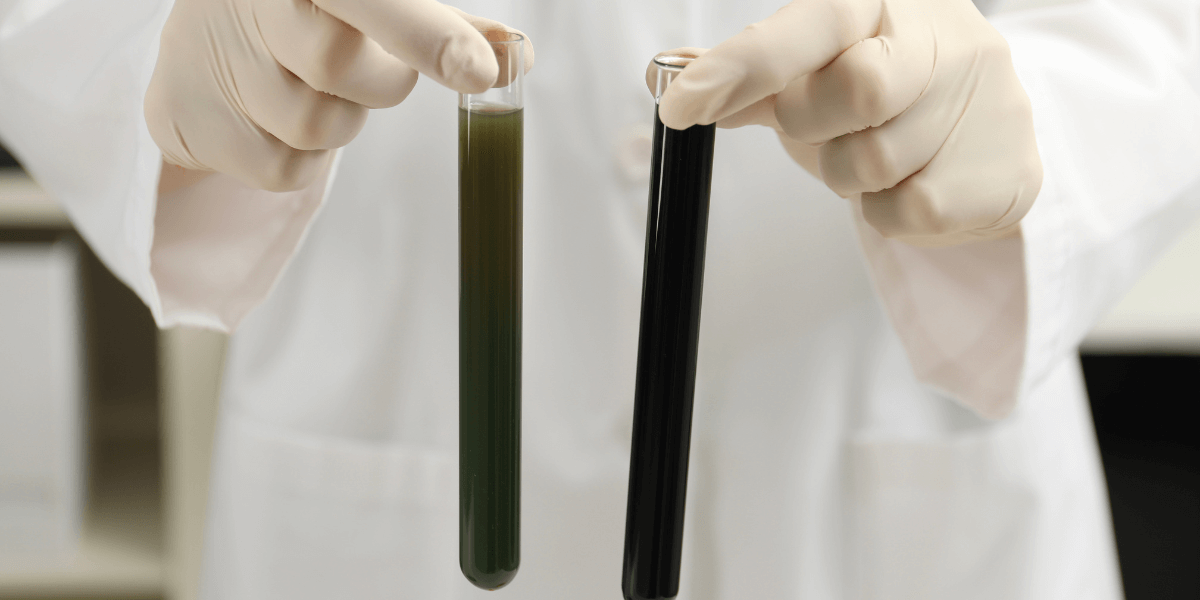 A lab technician holds two test tubes with crude oil samples
